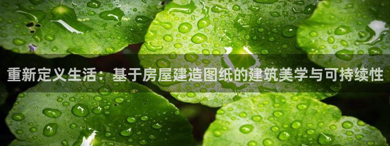 意昂体育3招商：重新定义生活：基于房屋建造图纸的建筑美学与可持续性