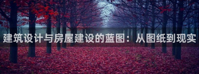 意昂体育3软件：建筑设计与房屋建设的蓝图：从图纸到现实