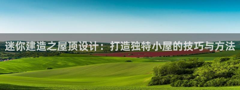 意昂体育3是干嘛的公司：迷你建造之屋顶设计：打造独特小屋的技巧与方法
