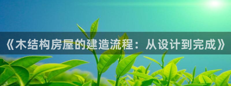 意昂体育3招商电话：《木结构房屋的建造流程：从设计到完成》