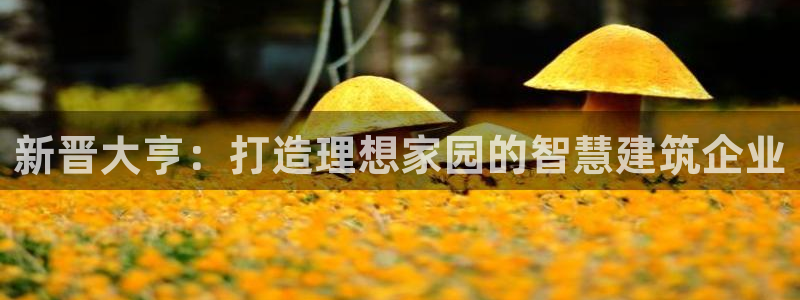 意昂体育3招商电话是多少啊：新晋大亨：打造理想家园的智慧建筑企业