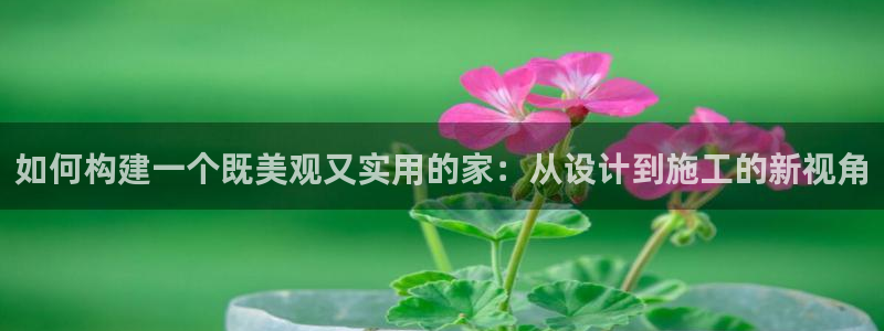 意昂3代理：如何构建一个既美观又实用的家：从设计到施工的新视角