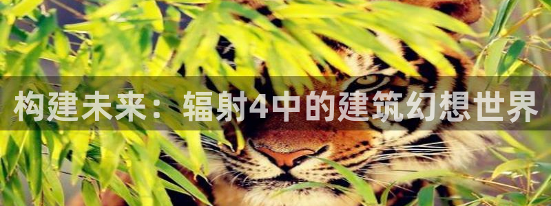 意昂3娱乐：构建未来：辐射4中的建筑幻想世界