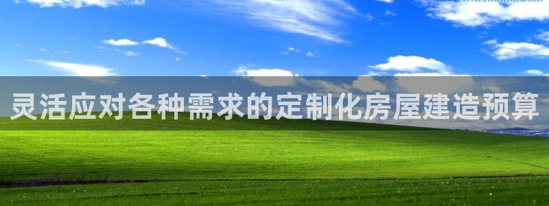 意昂体育3软件：灵活应对各种需求的定制化房屋建造预算