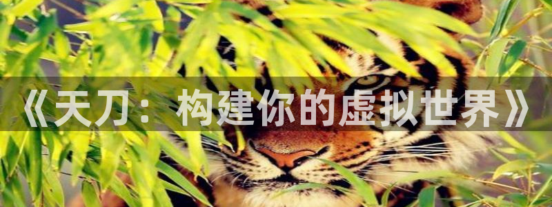 意昂3娱乐40996：《天刀：构建你的虚拟世界》