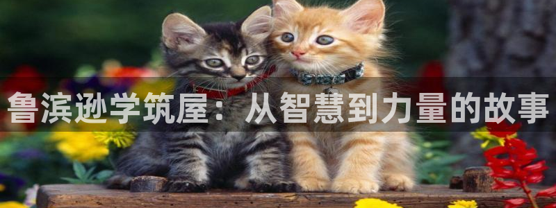 意昂3五金厂：鲁滨逊学筑屋：从智慧到力量的故事