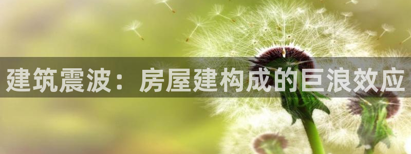意昂体育3招商电话地址是多少：建筑震波：房屋建构成的巨浪效应