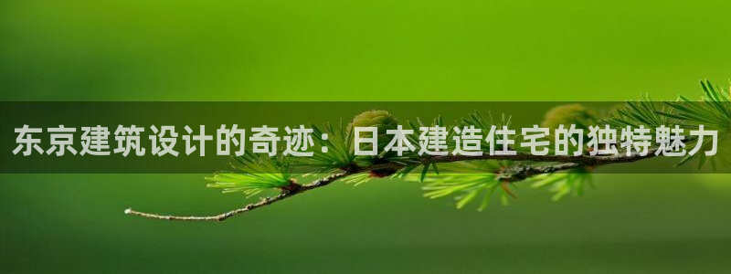 意昂体育3平台注册：东京建筑设计的奇迹：日本建造住宅的独特魅力