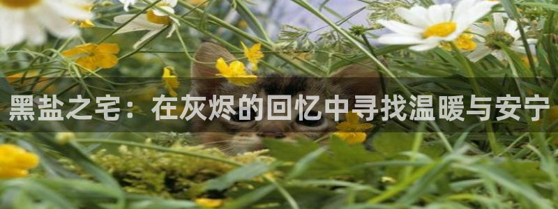 意昂体育3平台注册流程视频：黑盐之宅：在灰烬的回忆中寻找温暖与安宁