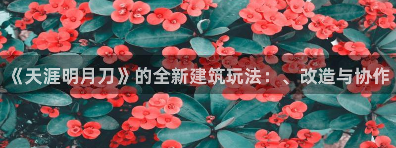 意昂体育3娱乐：《天涯明月刀》的全新建筑玩法：、改造与协作