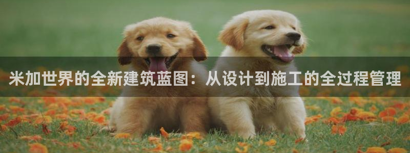 意昂3神州：米加世界的全新建筑蓝图：从设计到施工的全过程管理