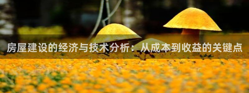 意昂体育3官方客服电话：房屋建设的经济与技术分析：从成本到收益的关键点