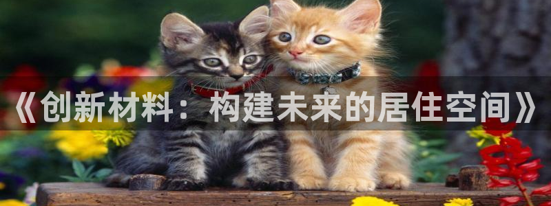 意昂体育3招商电话：《创新材料：构建未来的居住空间》