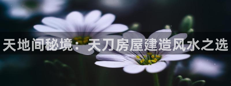 意昂体育3开户：天地间秘境：天刀房屋建造风水之选