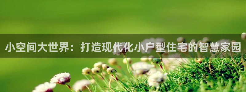 意昂体育3平台是正规平台吗知乎：小空间大世界：打造现代化小户型住宅的智慧家园