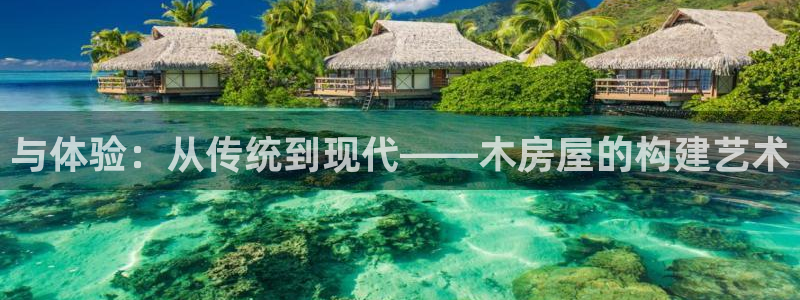 意昂体育3招商：与体验：从传统到现代——木房屋的构建艺术