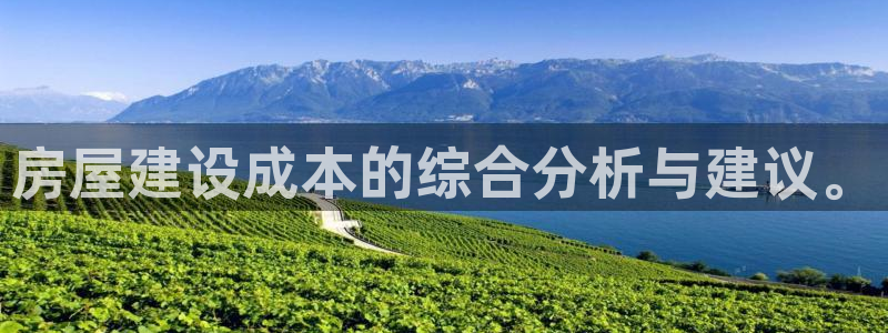 德国意昂3集团：房屋建设成本的综合分析与建议。