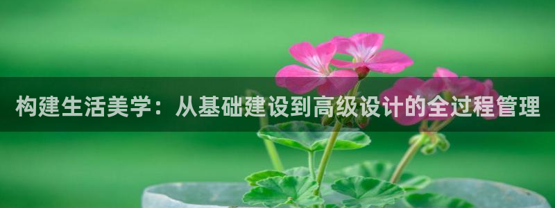 意昂3集团：构建生活美学：从基础建设到高级设计的全过程管理