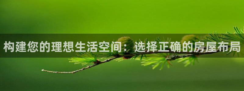 意昂3科技：构建您的理想生活空间：选择正确的房屋布局