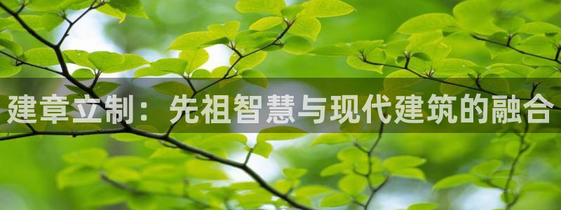 意昂体育3招商电话号码是多少：建章立制：先祖智慧与现代建筑的融合