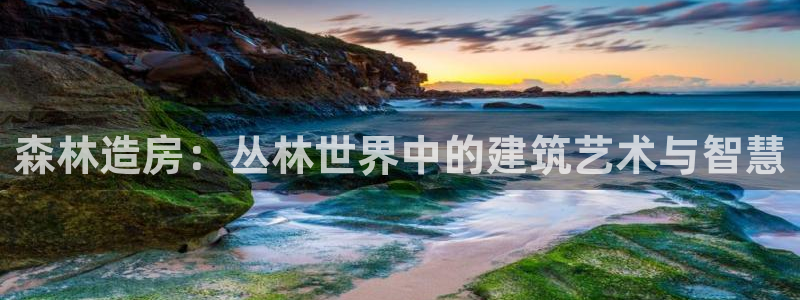 意昂3娱乐是那个系列的台子：森林造房：丛林世界中的建筑艺术与智慧