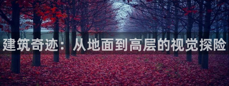 意昂3娱乐网站：建筑奇迹：从地面到高层的视觉探险