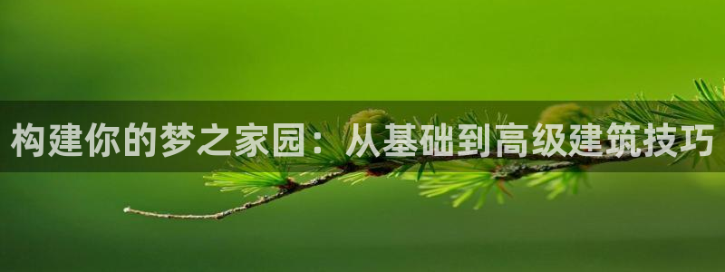 意昂3集团简介：构建你的梦之家园：从基础到高级建筑技巧