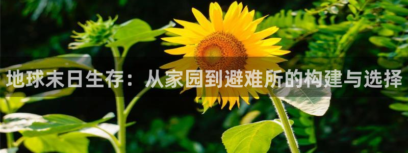 意昂3代理：地球末日生存：从家园到避难所的构建与选择
