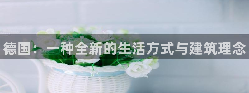 意昂体育3