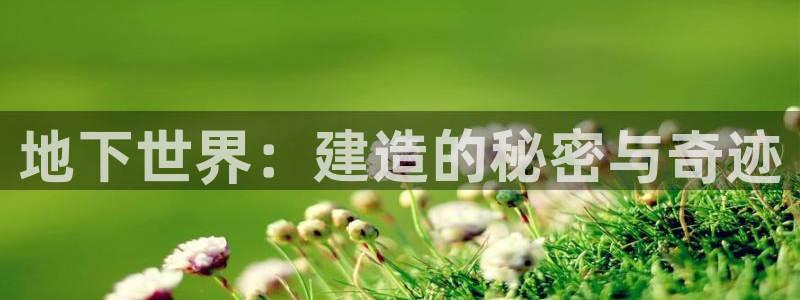 意昂3集团简介