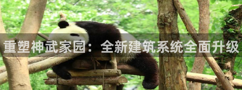 意昂体育3招商电话地址