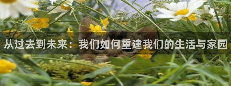 意昂3神州