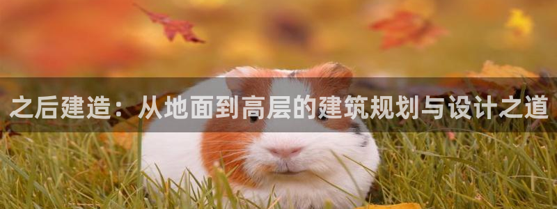 意昂体育3软件