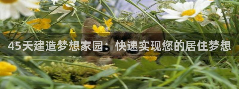 意昂体育3注册：45天建造梦想家园：快速实现您的居住梦想