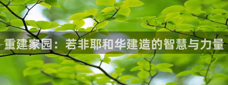 意昂3娱乐40996：重建家园：若非耶和华建造的智慧与力量