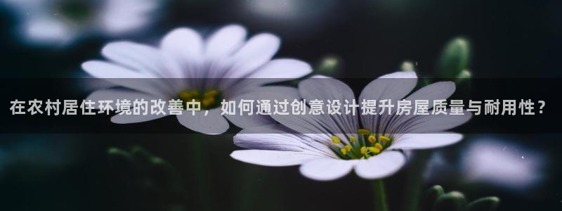 意昂3娱乐：在农村居住环境的改善中，如何通过创意设计提升房屋质量与耐用性？