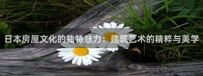 意昂体育3招商电话号码是多少号：日本房屋文化的独特魅力：建筑艺术的精粹与美学
