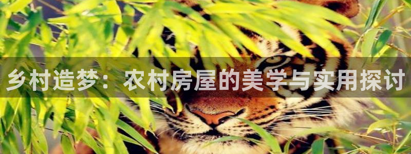 意昂体育3招商电话号码是多少号