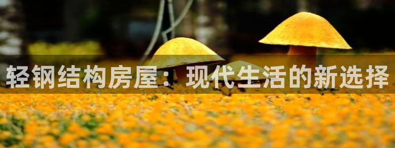 意昂3娱乐首页网站大全