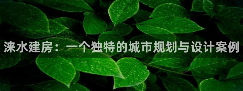 意昂3集团简介：涞水建房：一个独特的城市规划与设计案例