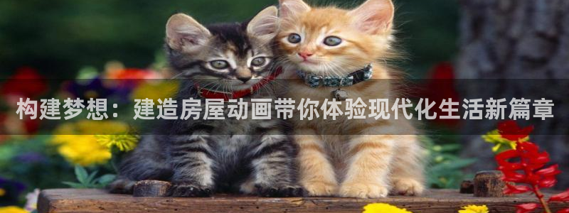 意昂3娱乐网站：构建梦想：建造房屋动画带你体验现代化生活新篇章