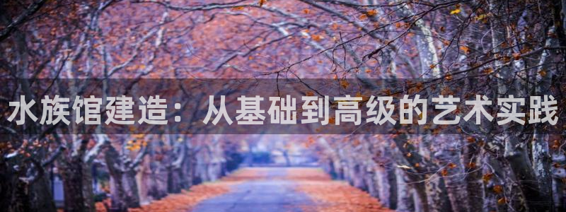 意昂3娱乐：水族馆建造：从基础到高级的艺术实践