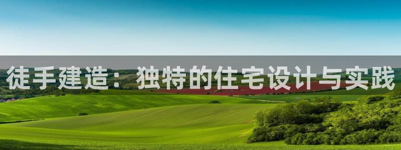 意昂体育3注册：徒手建造：独特的住宅设计与实践