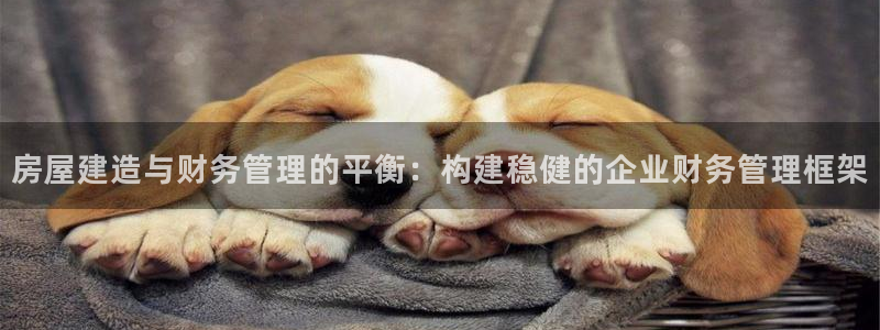 意昂体育3平台注册：房屋建造与财务管理的平衡：构建稳健的企业财务管理框架