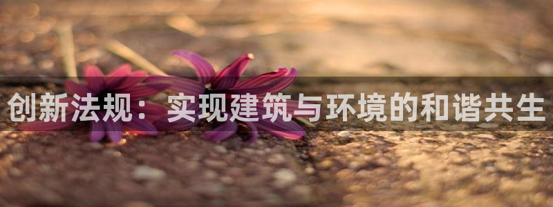 意昂3娱乐网站：创新法规：实现建筑与环境的和谐共生