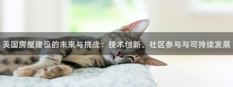 意昂3集团简介：美国房屋建设的未来与挑战：技术创新、社区参与与可持续发展