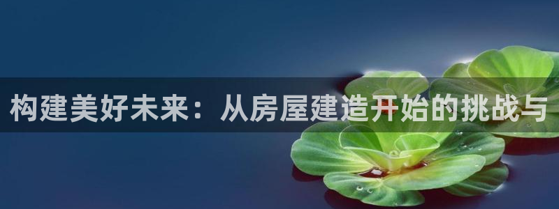 意昂3集团E.ON：构建美好未来：从房屋建造开始的挑战与