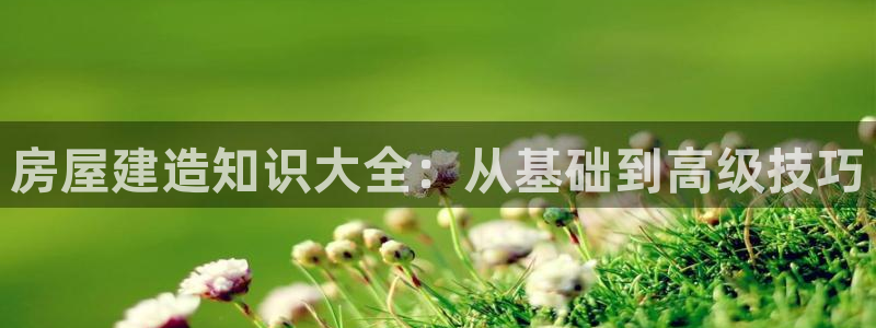 意昂3娱乐网站：房屋建造知识大全：从基础到高级技巧