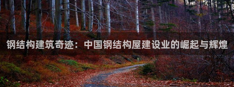 意昂体育3招商电话地址查询：钢结构建筑奇迹：中国钢结构屋建设业的崛起与辉煌