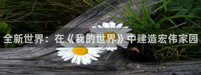 意昂体育3平台注册要钱吗是真的吗：全新世界：在《我的世界》中建造宏伟家园